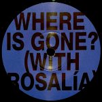 where is gone? - fountains dc