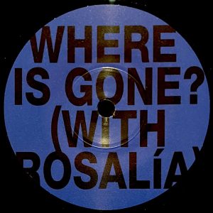 where is gone? - fountains dc